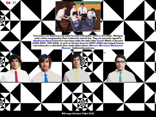 tallyhall screenshot