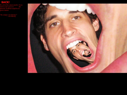 whalejoey screenshot
