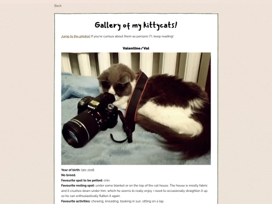 cats screenshot
