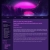 The web site of fortressoftomb avatar