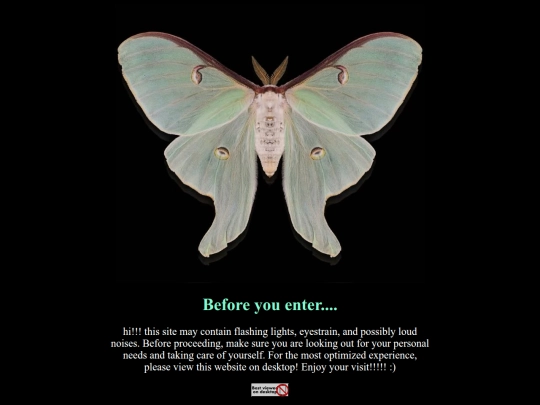 mothscreen screenshot