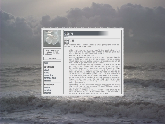 diary screenshot