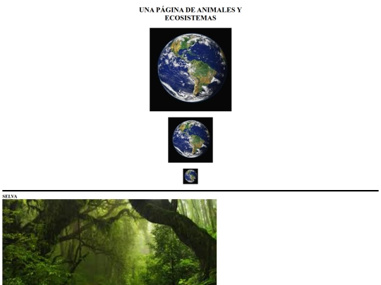 ejercico5 screenshot