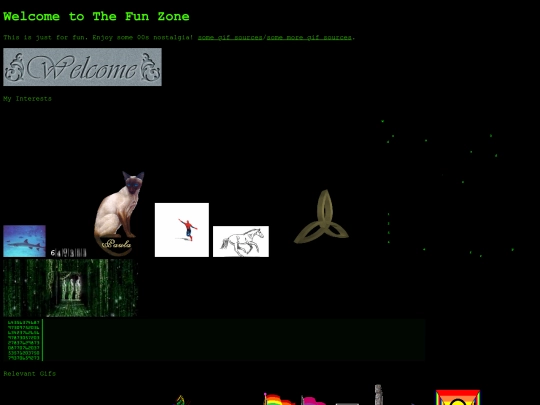 thefunzone screenshot