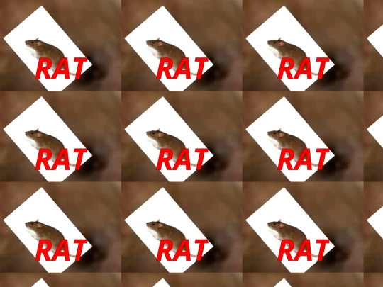 rat screenshot