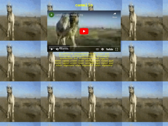 camello screenshot