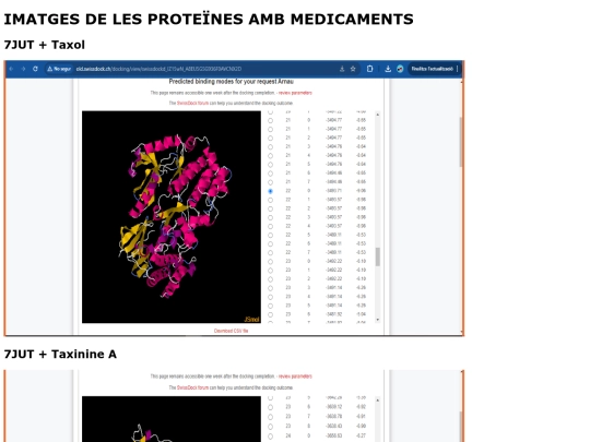 programació/docking/images screenshot