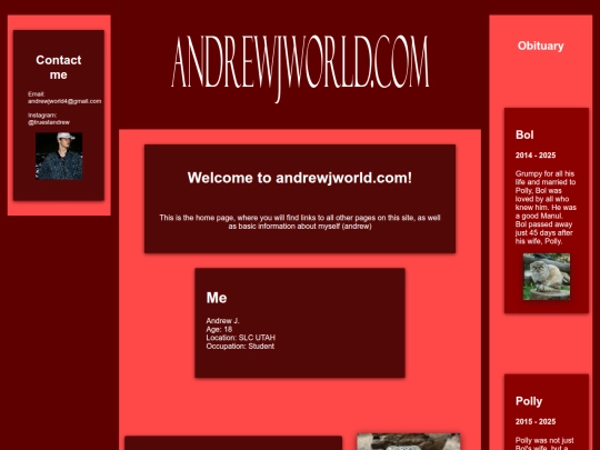 home screenshot