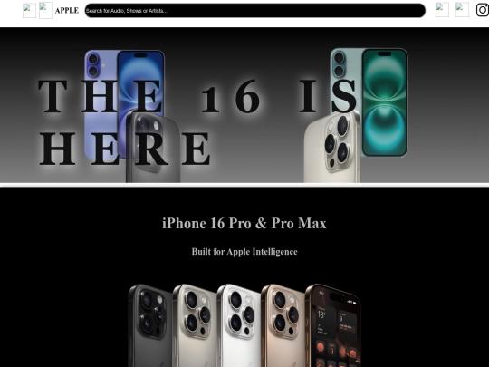 project screenshot