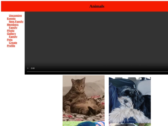 pets screenshot