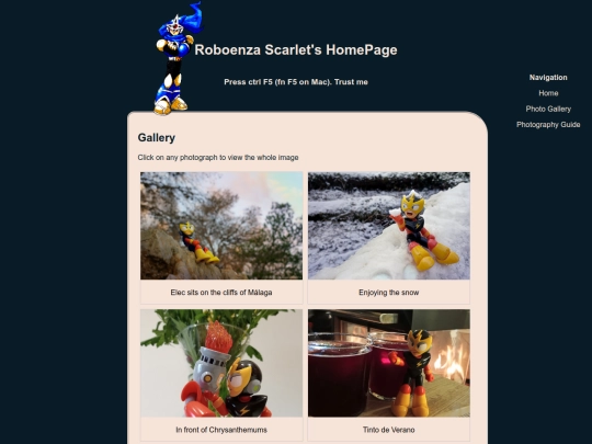 photography/gallery screenshot