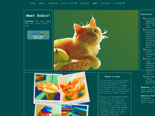 pages/robin screenshot