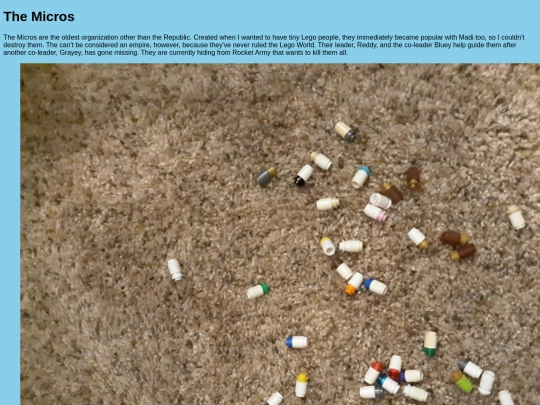 micros screenshot