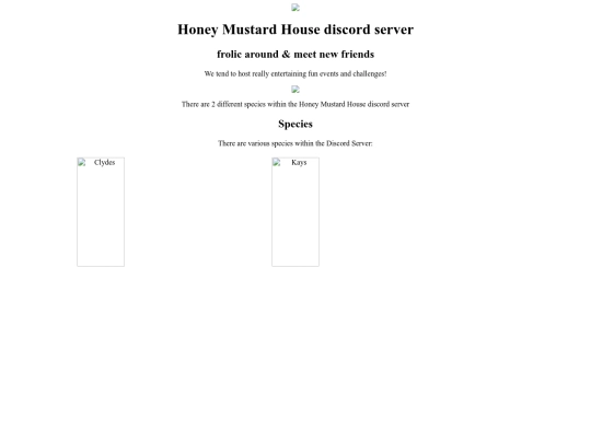 Discord-Server screenshot