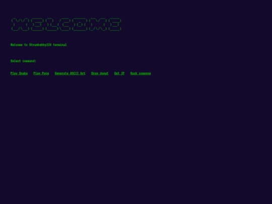 terminal/terminalstart screenshot
