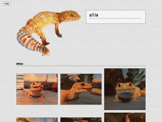 pets/ollie/ollie screenshot