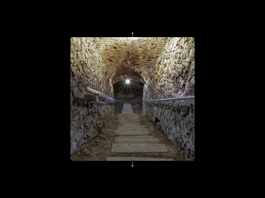 secrets/caveRooms/caveRoomIntro screenshot