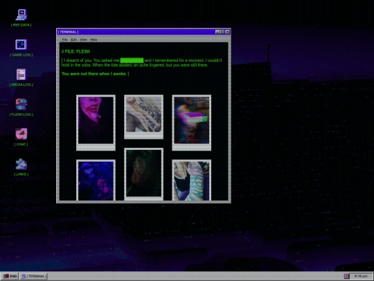 FleshLog screenshot