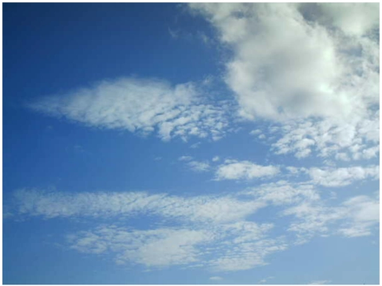 outside screenshot