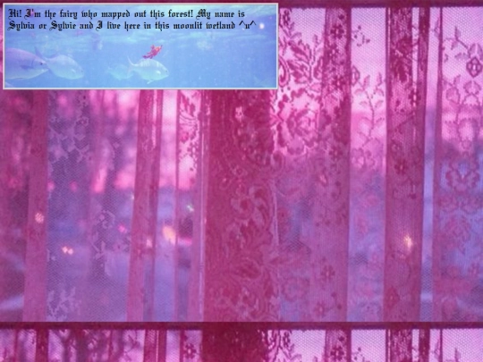 aboutme2 screenshot