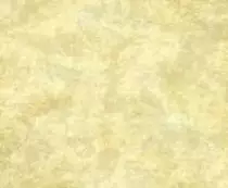 images.jpg