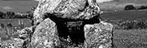 images/img6.jpg