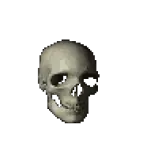 skulll.gif