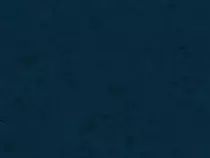 img/bg1.gif