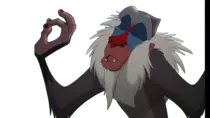 images/Rafiki_AOK.png