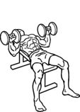 IMG/Press-superior.gif