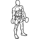 IMG/encogimiento hombros.gif
