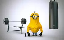 IMG/gru.png