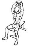 IMG/tricepsSentado.gif
