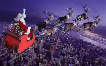 Xmas/reindeer.jpg