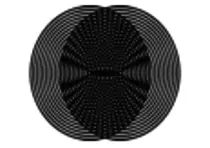 Ejercicio 4/Moire_Circles_100px.png