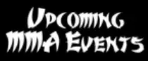 FvFMMABoxUpcommingEvents.jpg