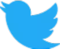 twiiter-bird.png