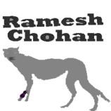 images245/ramesh_cheetah_2D.gif