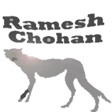 images245/ramesh_cheetah_2E.gif