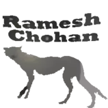 images245/ramesh_cheetah_2F.gif