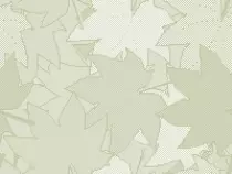 additional_files/leaves.png