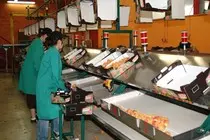 images/packaging_machine.jpg