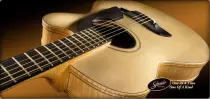 Guitar/crazystum.jpg
