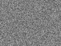 noise.gif