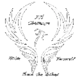 logotrans.gif