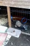 IMG0015A.jpg