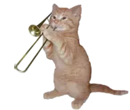 catt.gif