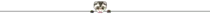 ferretline2.gif