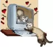 ferretlove.jpg