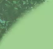 topleft.jpg